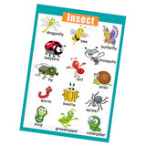 Maxbell Kids Baby Learning Poster Preschool Educational Wall Posters Insect - Aladdin Shoppers