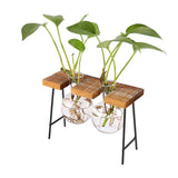 Maxbell Vintage Stool Shaped Wooden Tray Hydroponic Flower Glass Vase 2 Beakers