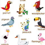 Maxbell Maxbell Kids Toddlers earning Poster Preschool Educational Wall Posters Birds