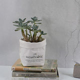 Maxbell 2pcs Washable Kraft Paper Storage Bag for Food, Toys, Flowers White /Brown