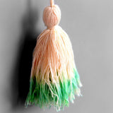 Maxbell Creative Tassel Garland Decorative for Mother Day Party Baby Shower 72inch