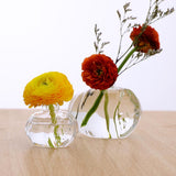 Maxbell 10xMini Pomegranate Glass Vase Handmade Flower Pot Hydroponic Flower Crafts S