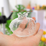 Maxbell 10xMini Pomegranate Glass Vase Handmade Flower Pot Hydroponic Flower Crafts S