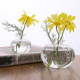 Maxbell 10xMini Pomegranate Glass Vase Handmade Flower Pot Hydroponic Flower Crafts S