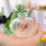 Maxbell 10xMini Pomegranate Glass Vase Handmade Flower Pot Hydroponic Flower Crafts S