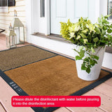 2 Pieces Disinfecting Mat Sanitizing Floor Mat Entrance Doormat Entry Rug