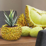 Maxbell Durian Flower Pot Ornament Fruit Flowerpot for Living Room Shelf