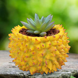 Maxbell Durian Flower Pot Ornament Fruit Flowerpot for Living Room Shelf