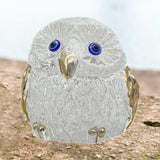 Maxbell Owl Statue Art Gift Feng Shui Sculpture for Office Table Centerpiece Cabinet Clear