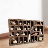 Maxbell Miniature Trinket Shelf Smooth Showcase Jewelry Display Tray Home Decoration