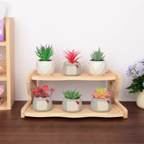 Maxbell Plant Stand Planter Holder Tabletop Wooden Decorative Flower Pot Stand