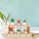 Maxbell Plant Stand Planter Holder Tabletop Wooden Decorative Flower Pot Stand