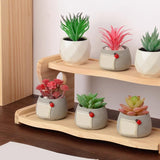 Maxbell Plant Stand Planter Holder Tabletop Wooden Decorative Flower Pot Stand
