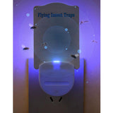 Maxbell Fruit Fly Traps for Indoors Fruit Flies Flies Catcher Moth Plug in Gnat Trap