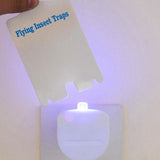 Maxbell Fruit Fly Traps for Indoors Fruit Flies Flies Catcher Moth Plug in Gnat Trap