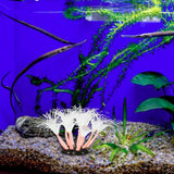Maxbell Artificial Aquarium Coral Plants Scenery Underwater Ornament Fish Tank Decor Pink