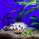 Maxbell Artificial Aquarium Coral Plants Scenery Underwater Ornament Fish Tank Decor Orange