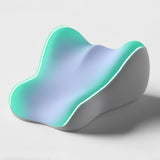 Maxbell Back Pillow for Bed Memory Foam Zip Close Leg Elevate Pillow for Home Dorm Blue