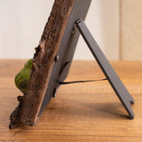 Maxbell Resin Photo Frame Display Women Men Desk Party Home Decor Bird Picture Frame