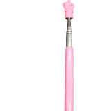 Maxbell Telescopic Teacher Pointer Portable Hand Pointer for Conference Presentation Rubber Cover Pink