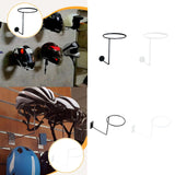 Maxbell Helmet Hanger Organization Wall Mount Display Rack for Basketball Coats Mask Round black