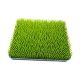 Maxbell Baby Bottle Drying Rack Multipurpose Space Saving Feeding Supplies Dish Rack