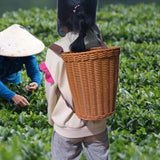 Maxbell Handwoven Fruit Basket with Shoulder Straps Garden PP Rustic Basket Backpack