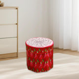 Maxbell Folding Storage Ottoman Funny Stylish Foot Stool for Dorm Entryway Furniture Dragon Fruit