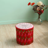 Maxbell Folding Storage Ottoman Funny Stylish Foot Stool for Dorm Entryway Furniture Dragon Fruit