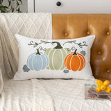 Maxbell Fall Pumpkin Decorative Throw Pillow Cover Soft for Home Sofa Autumn Harvest Style F