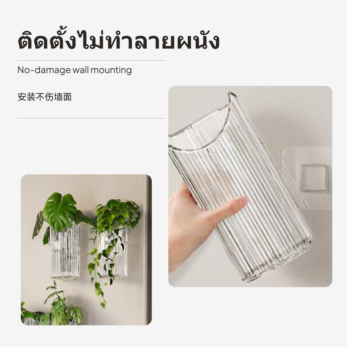 2-Pack Wall Mounted Transparent Planter, No Drill Hanging Vase, Hydroponic Holder for Living Room Decor 3 Pack