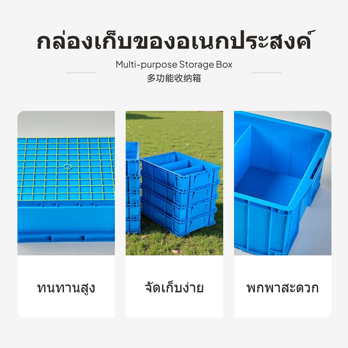 HDPE Multi-Compartment Plastic Parts Organizer Box, Rectangular, Stackable B 12 Grids