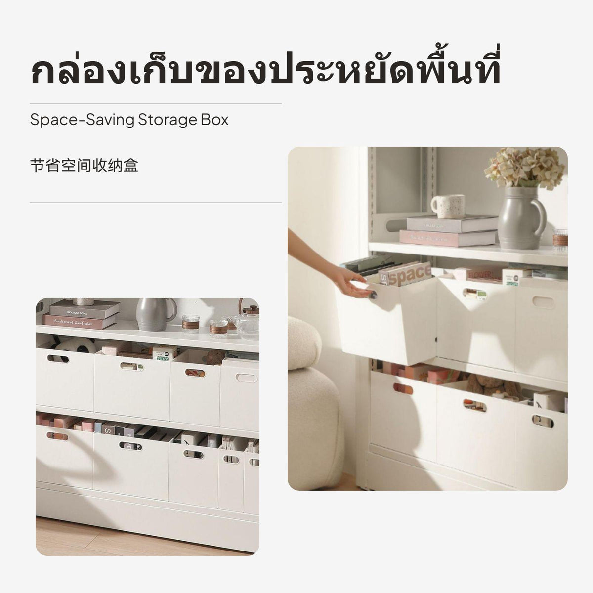 Japanese Library Storage Box, Multi-Size Kitchen Organizer, Grayivory Large