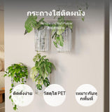 Wall-Mounted Hydroponic flora container Vase, Transparent Hanging Flower Pot for Decoration, No-Drill Installation 1 Pack