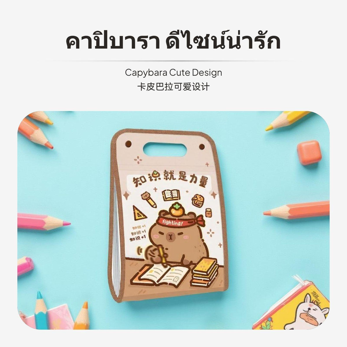 12compartment Capybara Accordion folder Folder, Waterproof, Student Stationery, A4 size Study Makes Me Happy