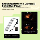 Car Ambient Light, Sound-Controllight-emitting diode light-emitting diode Light, cordless Music Sync, Interior Decoration Pink Purple 1to2 24LEDs USB