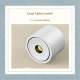 Spotlight, Adjustable Flush Mount, Slimline 5W Ceiling Light, Suitable for Dining Room and Tea Room, 15°/24° angle Angle, Surface Mount Black 15deg-12W-3000K