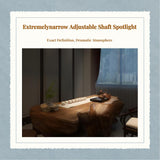 Adjustable Spotlight, Recessed Accent Light, Bar Table, Tea Room, Narrow light light-emitting diode Black 15 degree 12W 4000K