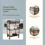 Salon Rolling Cart, 3-Tier Aesthetic Trolley with Drawers, Mobile Organizer for Spa, Hairstylist Shop, Hair Salon