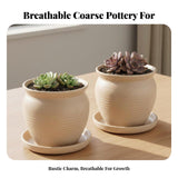 Desktop Plant Pot with Saucer Breathable Coarse Pottery Flowerpot Minimalist Design Imitation Stone Planter for Kids, Windowsill, Balcony 2-pack Round Mouth