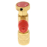 Maxbell Fluoridation Valve Single Gauge+Freezing Medium Liquid Loading Safety Valve