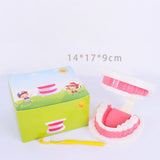 Maxbell Tooth Model Study Gifts for Teaching Practice Dental Teaching Brushing Model 3 Times Bigger