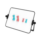 Maxbell Meiosis Chromosome Change Model Kit Science Reusable with Bracket Red and Blue