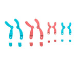 Maxbell Meiosis Chromosome Change Model Kit Science Reusable with Bracket Red and Blue