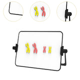 Maxbell Meiosis Chromosome Change Model Kit Science Reusable with Bracket Red and Yellow