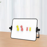 Maxbell Meiosis Chromosome Change Model Kit Science Reusable with Bracket Red and Yellow