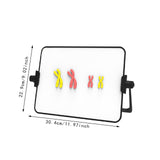 Maxbell Meiosis Chromosome Change Model Kit Science Reusable with Bracket Red and Yellow
