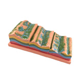 Maxbell Geological Folding Model 3D Educational Instrument for School Students Class