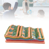 Maxbell Geological Folding Model 3D Educational Instrument for School Students Class
