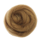 Maxbell 1 Piece 10g Wool Top Roving Felting Wool Spinning Felting Fiber Coffee - Aladdin Shoppers